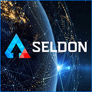 Информационно-аналитическая система Seldon